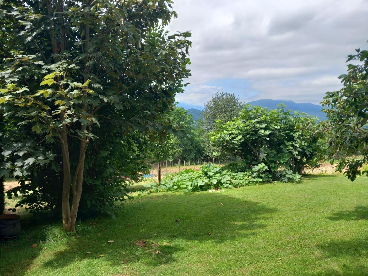 Maisonnette A La Campagne Ariege Saint-Girons (Ariege) Exterior foto